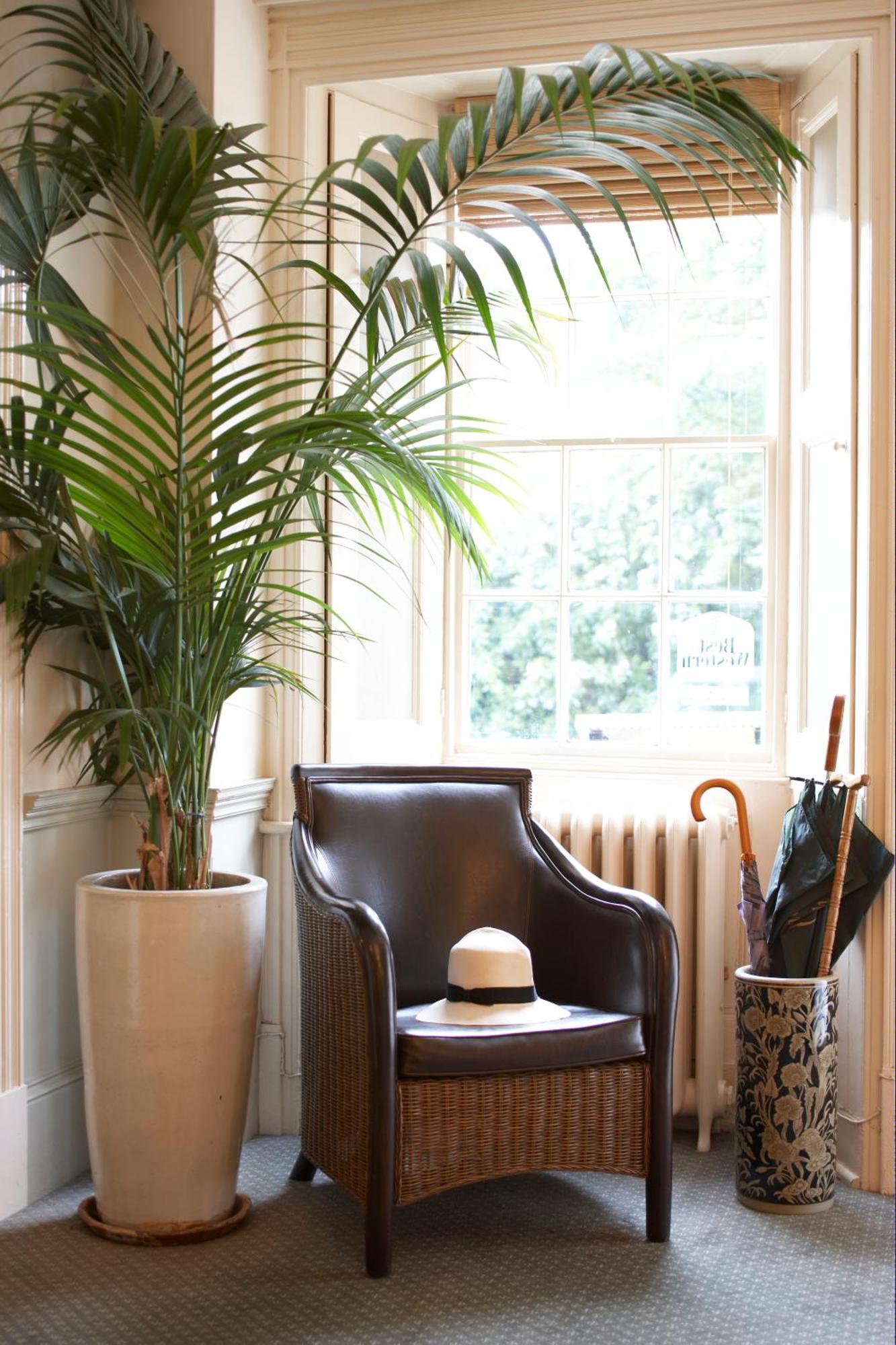 Flackley Ash Country House Hotel Peasmarsh Exteriér fotografie