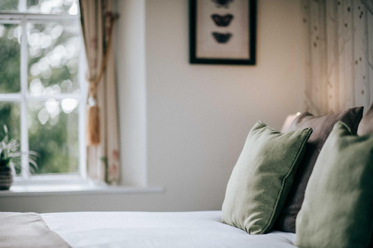 Flackley Ash Country House Hotel Peasmarsh Exteriér fotografie